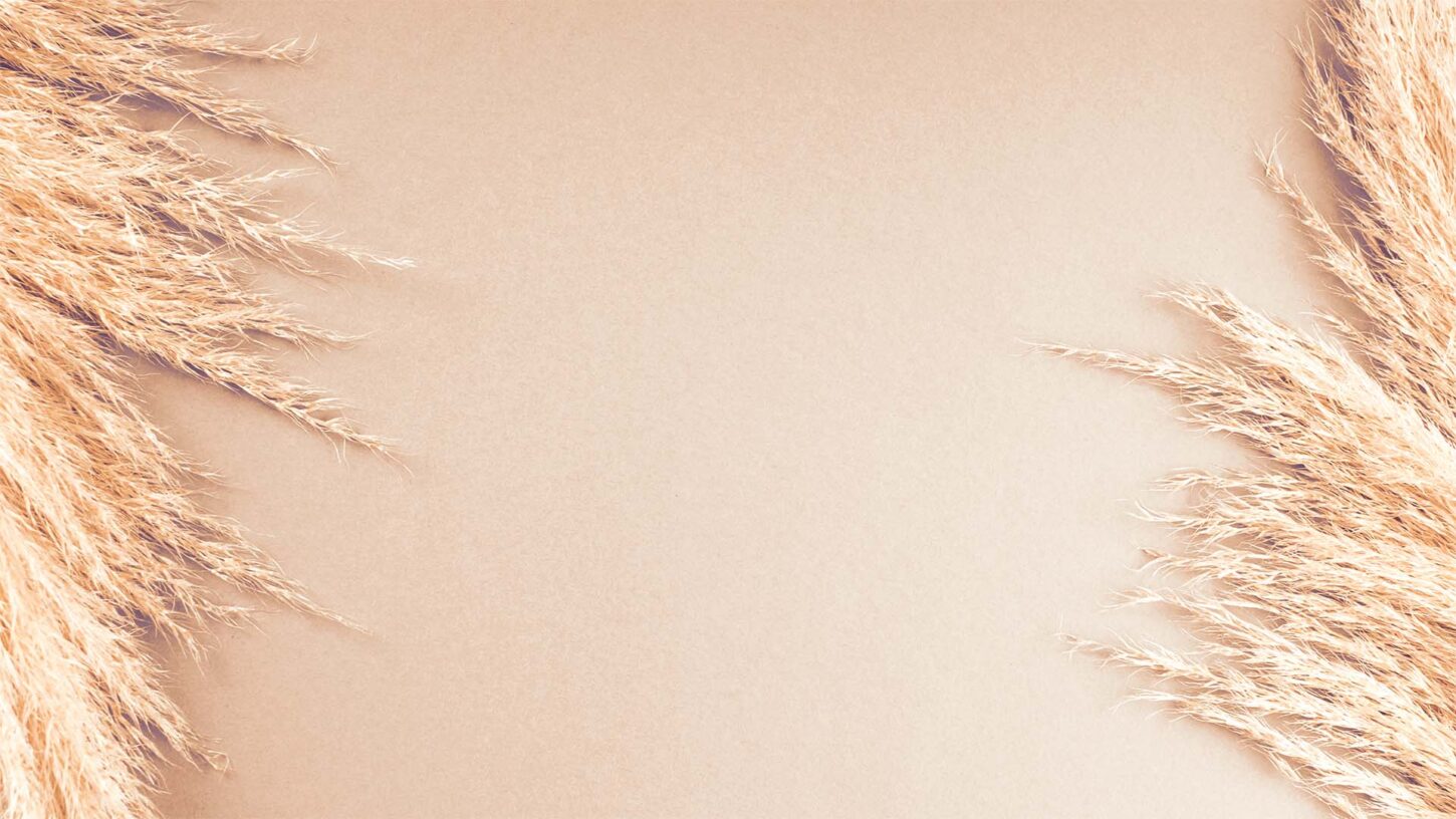 skincure-hintergrundbild
